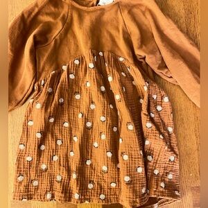 Zara fall toddler girl dress